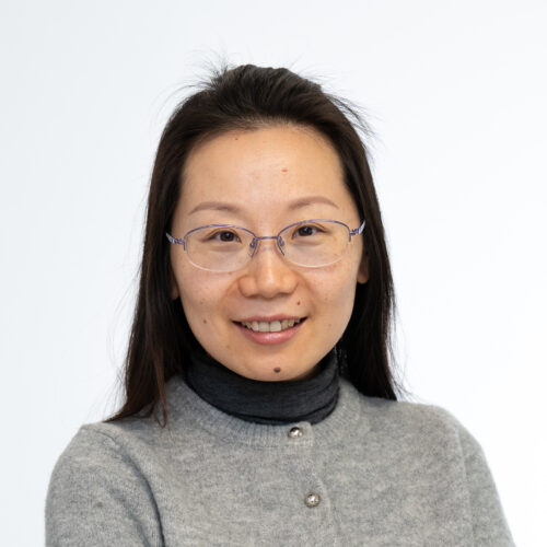 Wanyi Zhao